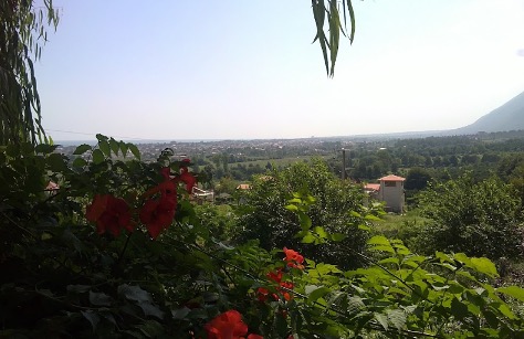 نور کجاست